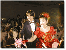 �Γc�N�̌������̖͗l