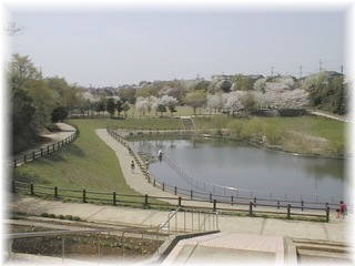 �����S�i