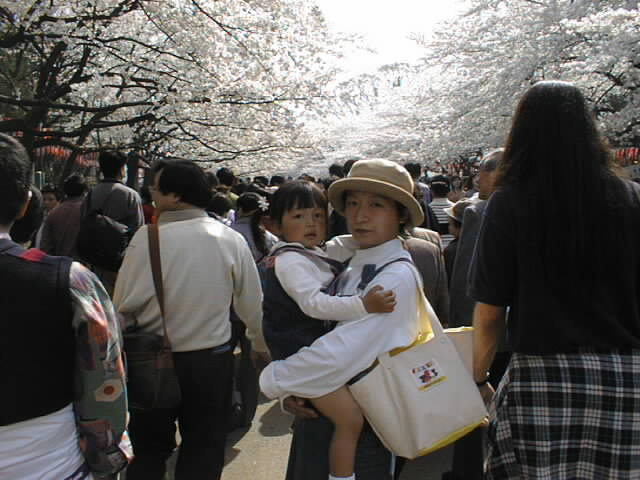 �������̍�