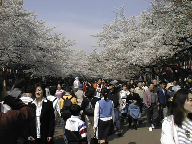 �������̍�