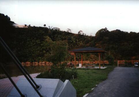 ����������Ĥ궶�ն�