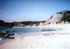 $B<i203$4_$+$i6=DEJ}8~$rD/$a$F(J