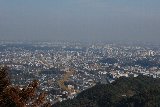 金毘羅台より甲州街道イチョウ並木(秋)