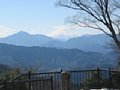 高尾山