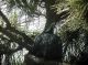 DSCN1239.JPG