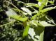 DSCN1250.JPG