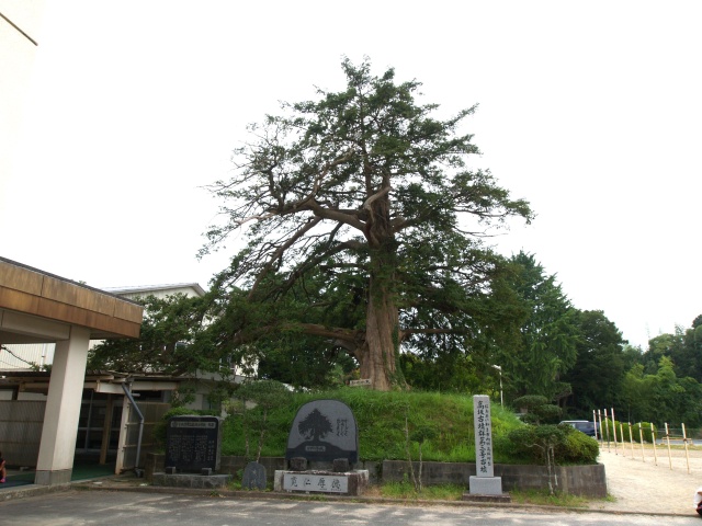 墳丘上に大きなカヤの木。いわき出身の草野心平による校歌が左端にある石碑に刻まれています