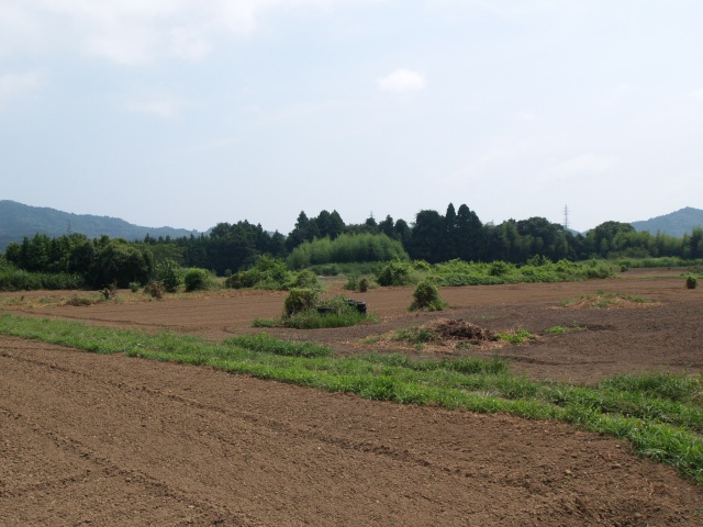 夏井川左岸台地上ののどかな風景