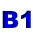B1
