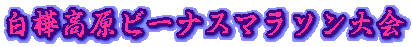 白樺高原ビーナスマラソン大会