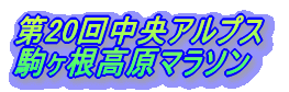 第20回中央アルプス 駒ヶ根高原マラソン