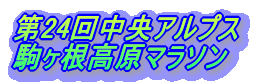 第20回中央アルプス 駒ヶ根高原マラソン