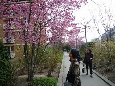 廃線跡の高架道路