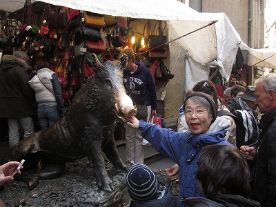 イノシシ