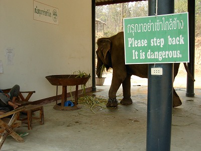 象の危険性の注意書き