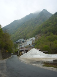 080503nicchiku1s.jpg