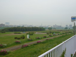 080503tamagawa1.jpg