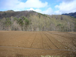 080504kawakami4.jpg