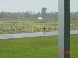 irri3.jpg