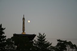 yakushi-ji06-02.jpg