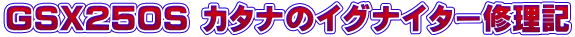 GSX250S J^ĩCOiC^[CL