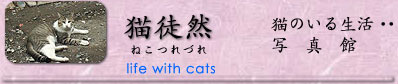 �L�k�R
