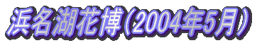 �l���ΉԔ��i2004�N5���j