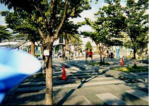 ���h�[������w