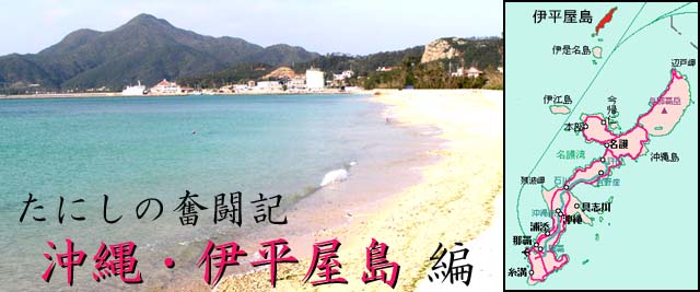 �ɕ�����