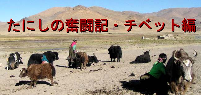 タイトル