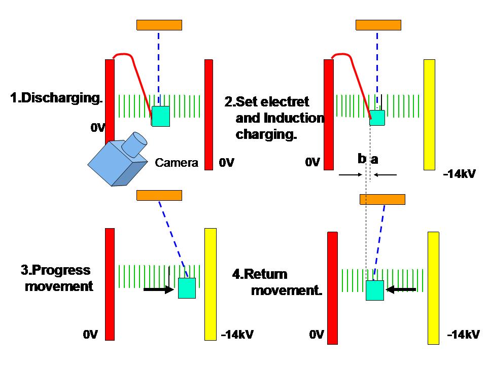A schematic of the experimental procedure