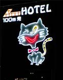 HOTELやんちゃな子猫