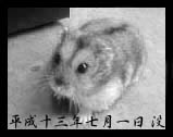 ͂Q