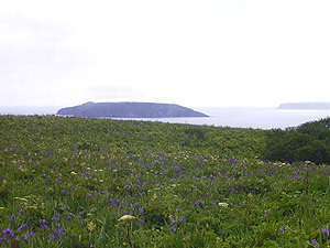 あやめが原