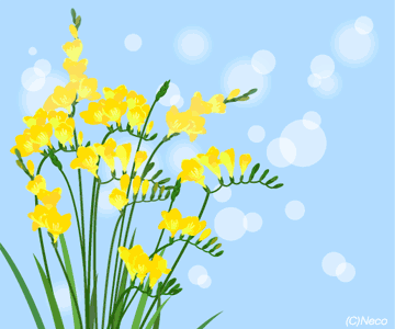 �t���[�W�A