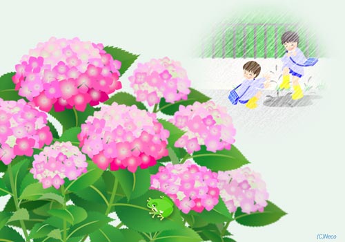 �����܂�