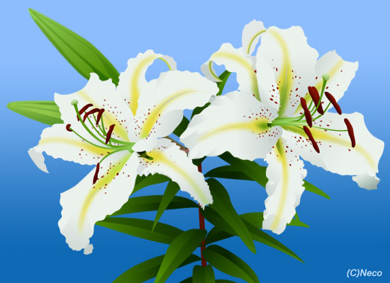 �S���i�j�b�|���j