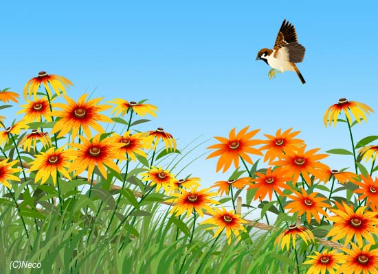 ���h�x�L�A