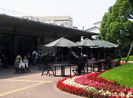 テラスの喫茶店