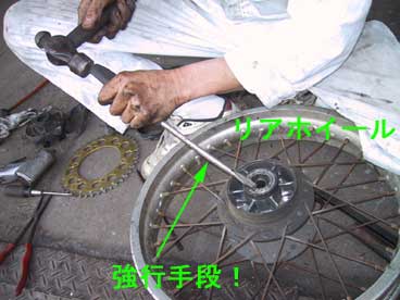 hoiru_bunkai16.jpg