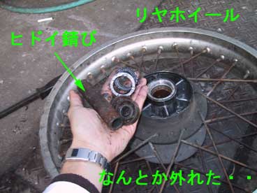 hoiru_bunkai18.jpg