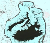 oRC̑Iѕ