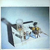 Spicks and Specks - Bee Gees Songs, Reviews, Credits