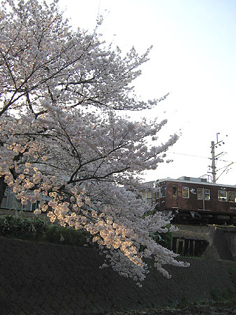 蕁