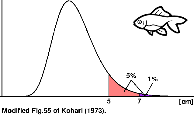 養魚場 A で飼育される金魚の体長分布．小針（1973）の図 55 より．
