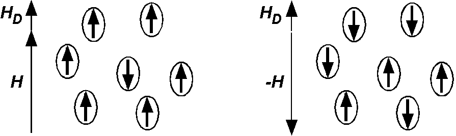 方形波の交流磁場を容易軸方向に掛け，小さな直流磁場 Hd を重ねて掛けた単磁区粒子の集団．