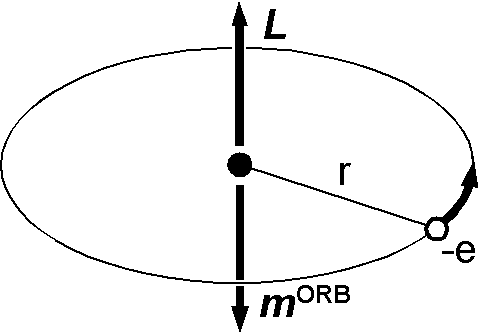 原子のボーアモデルにおける軌道角運動量と軌道磁気モーメント．