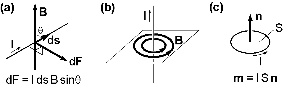 (a) 磁場中の電流に働く力， (b) 直線状の電流の回りに発生する円状の磁場， (c) 磁気モーメントは環状の電流に環の面積を掛けて定義される．
