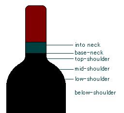 neck