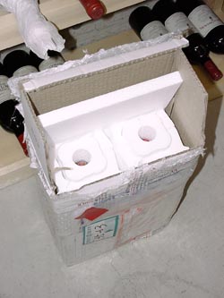 ����͂���Ȃ���